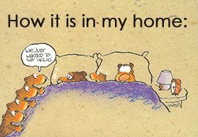 But I wouldn’t trade this for anything in the world.