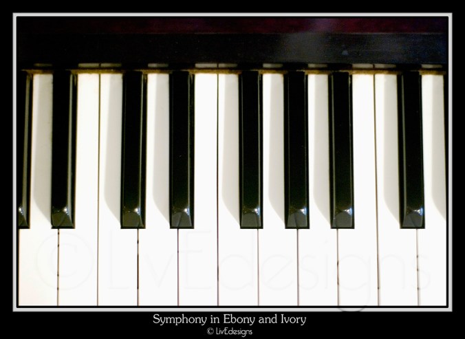 Symphony in Ebony & Ivory